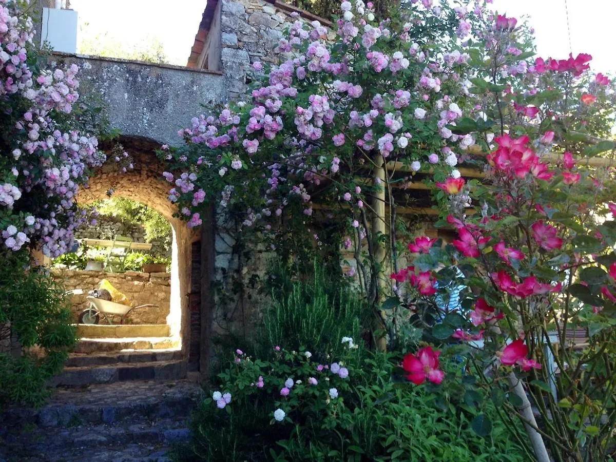 Casa Vittoria With Small Pool contacts